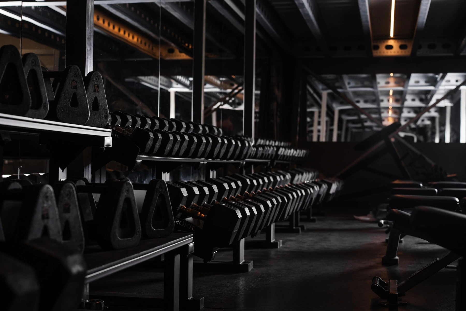 Wnętrze EXFIT — zdjęcie klubu, nie asortymentu sklepu