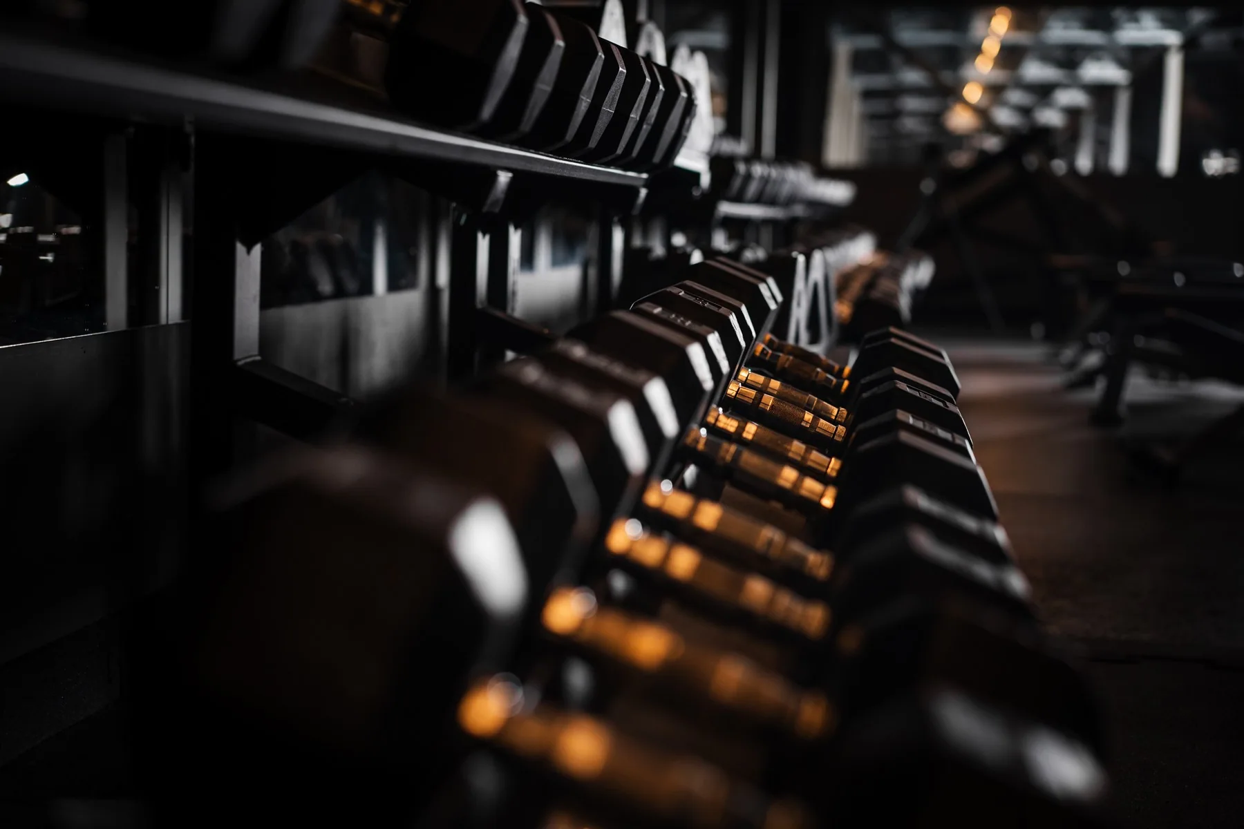 Sprzęt do treningu siłowego w EXFIT