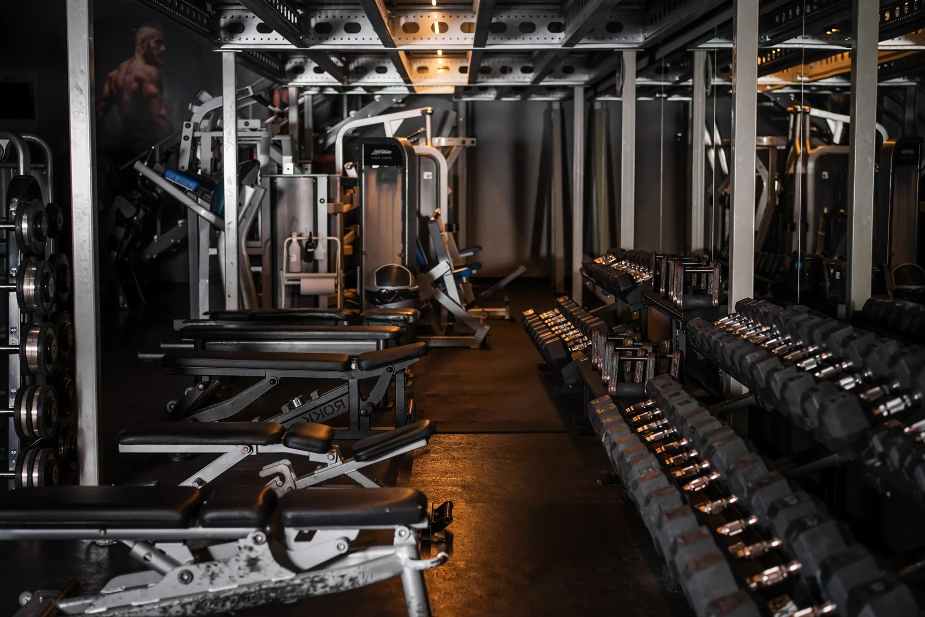 Wolne ciężary, ławki i maszyny w Exfit